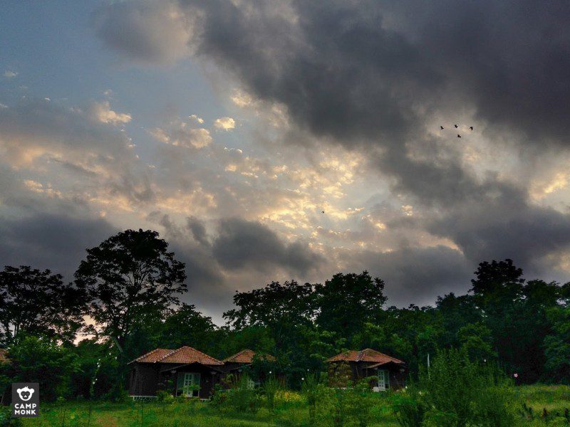 Trekking Trails in Wayanad